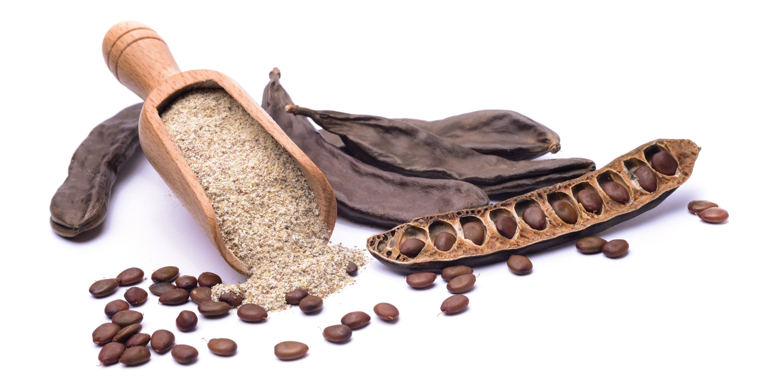 locust-bean-gum-blog-image Locust Bean Gum Food Grade - Image 1