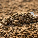 Organic Compost Manure Pellets