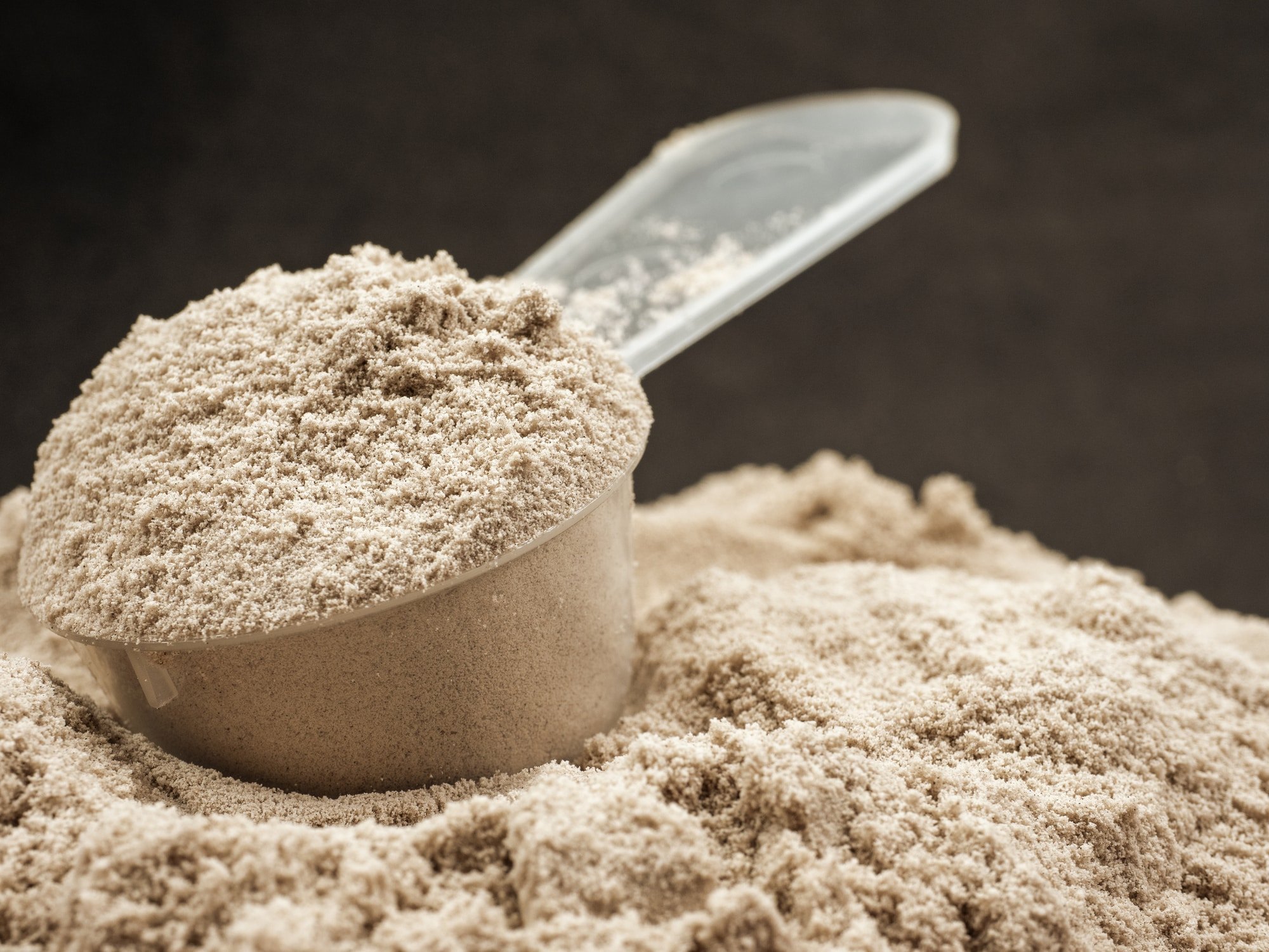 whey-protein-isolate Whey Protein Isolate - Image 1