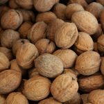Macadamia Nuts