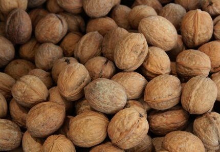 Macadamia Nuts